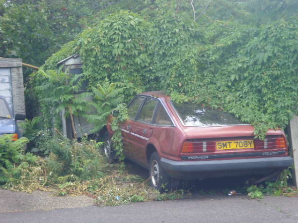 Vine Driving: 10 More Overgrown Abandoned Vehicles