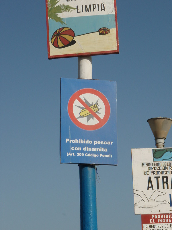 Off The Hook: 10 Reel Cool ‘No Fishing’ Signs