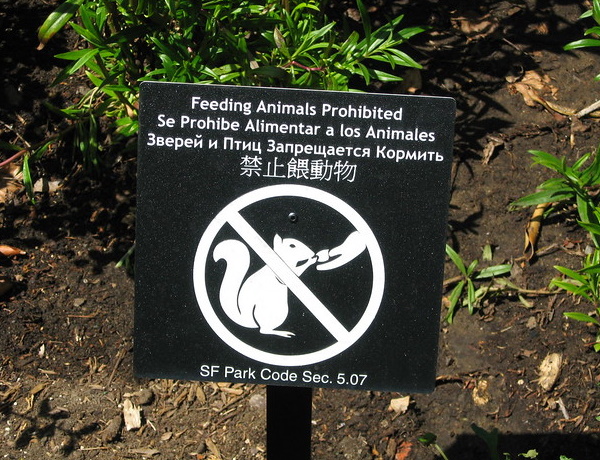 Beast Ala Mode: 10 ‘Do Not Feed The Animals’ Signs