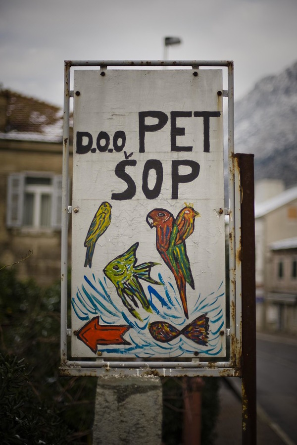 Love Fur Sale: 10 Non-Dogmatic Pet Shop Signs